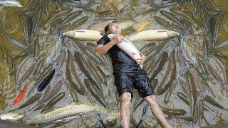 Catch all the Fish in the big Pond and move them to the small Pond - A new start after failure
