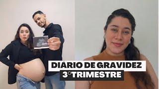 Diário de Gravidez 3⁰Trimestre| o mais difícil da gestação, começei a ter contrações e mais