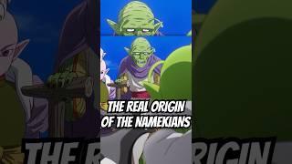 The REAL Origin of Piccolo and the Namekians in Dragon Ball!  #dragonball #dbz #goku