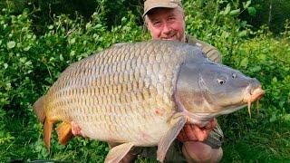 Carp fishing - Rainbow 60's hat trick