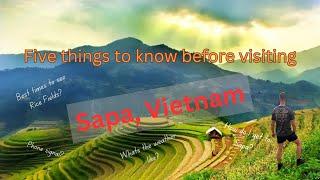 2024 SAPA, VIETNAM - Five things you need to know BEFORE visiting! (Honest guide)