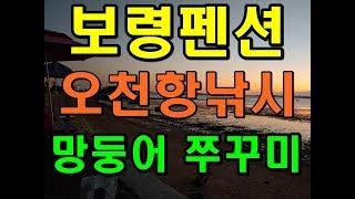 보령 오천항 추석명절 일과 ,망둥어 쭈꾸미 낚시 학성바다장미펜션에 일상요