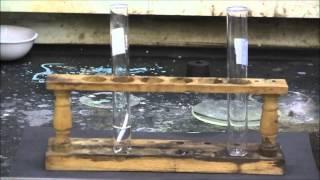 Magnesium metal reacting with concentrated sulfuric acid