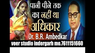 Dr.B.R. Ambedkar songh indergarh m.p Datia Veer photo studio 7611151660