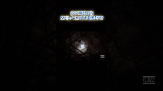 (모기특집3탄) 모기는 주로 밤에 활동한다?