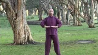 Guigen Qigong - Restoring Natural Harmony - Simon Blow Qigong