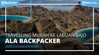 Tips Travelling Murah ke Labuan Bajo ala Backpacker