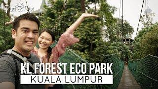 KL Forest Eco Park | Things to do in Kuala lumpur | Travel Malaysia