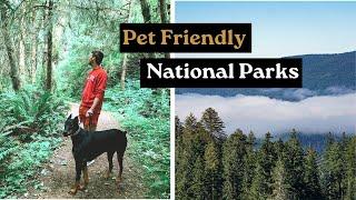 4 PET FRIENDLY National Park Travel Destinations