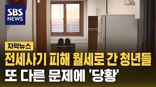 전세사기 피해 월세로 간 청년들...또 다른 문제에 '당황' (자막뉴스) / SBS