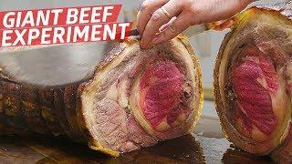 "This Is the Most Expensive Meat Experiment We've Ever Done" — Prime Time