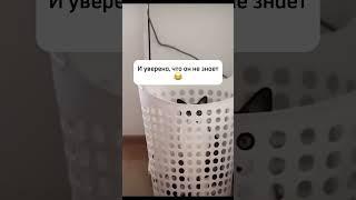 Отпусти и забудь... И начни, наконец, жить свою жизнь, а не подглядывать за чужой #юмор #смешно