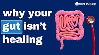 Gut Healing with Carnivore, Probiotics, Constipation, and Environmental Toxins