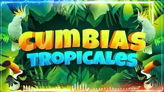 CUMBIAS TROPICALES MIX VIEJITAS TROPICALESACAPULCO TROPICAL, TROPICAL FLORIDA, LOS KARKIS...