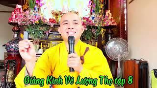 Giảng Kinh Vô Lượng Thọ tập 8  .Khuyên Người Lễ Phật Hằng Ngày, Tiêu Trừ Tai Nạn .