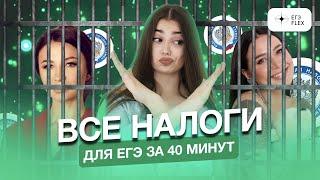 ВСЕ НАЛОГИ для ЕГЭ за 40 минут! | Маша Вайб | ЕГЭFlex