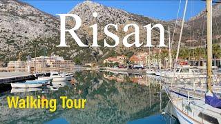 Risan, Kotor Montenegro 2024 Walking Tour