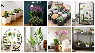 Small plants decorating ideas at home | Artificial home plants decor ideas | Creative mini plants