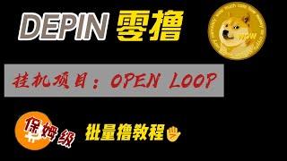 sol链depin项目零撸open loop 批量撸教程，自动过任务秒拿14000积分