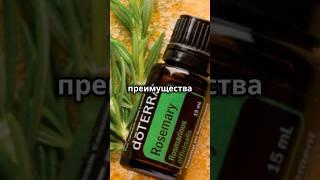 Масло Розмарина.  Секреты и Польза  #рецепт #психология