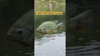 Tilapia Fishing Bait #shorts #fishing #tutorial