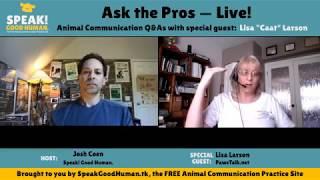 9 Questions About Animal Communication — Answered by Lisa Larson