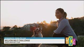 Olympian Chloe Kim Encourages Pet Owners to get Active with their Dogs