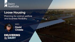 Loose Housing: Planning for animal welfare and business flexibility | Feeding & Farm Systems