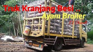 Proses Pemuatan Ayam Broiler Di Kandang close House