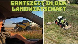 Das ganze Dorf ist im Erntefieber | Sind die Kartoffeln auch bald dran ? | Farmvlog #129