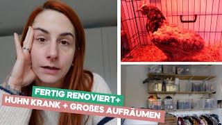 Chicken sick / Completely renovated / Big clean-up / Weekly Vlog 003-25