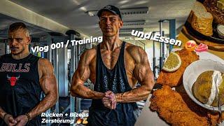 Erster Vlog, neues Kapitel / Rücken & Bizep Workout m. Leon Gavanas / Snocco / Vlog 001