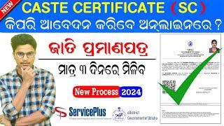 How to apply SC Caste Certificate in Odisha ll Caste Certificate Apply Online Odisha 2024-25