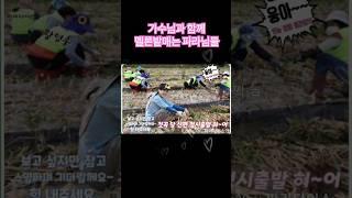 어디든 함께 가요 황영웅의 파라님들