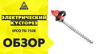 Обзор Электрический кусторез EFCO TG-750E