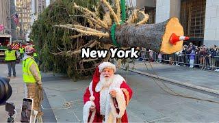 NYC Rockefeller Center Christmas Tree 2024 Installation Video  New York City 