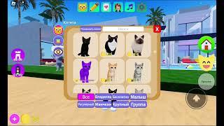 roblox play with a funny cat and decorate it. the funniest images of the game.