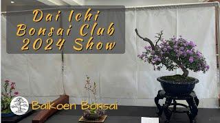 Dai Ichi Bonsai Club 2024 37th Annual Show - Bonsai Exhibition - Baikoen Bonsai Club