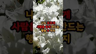 나도 모르게 사람을 잃게 만드는 행동 4가지 #현실조언 #명언 #삶의지혜 #인생지혜