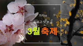 3월 여행지 추천 / 사진 추천 출사지[4K]