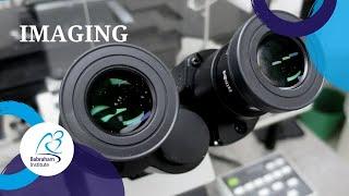 Imaging at the Babraham Institute | Explore our Science Facilities