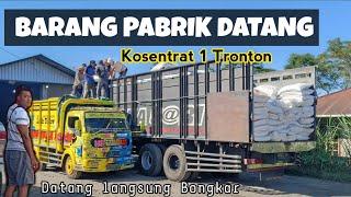 Truk Quester Mr Gombal Muat Pakan 40 ton || Surabaya - BALI