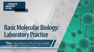 Basic Molecular Biology: Laboratory Practice – The Laboratory Working Areas