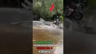 Asthofirullah〽️mau mancing ketemu buaya besar banget#shorts