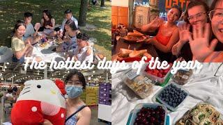 vlog | hottest days of the year, park picnic, seagull takeover, haul, hello kitty squishmallow??!