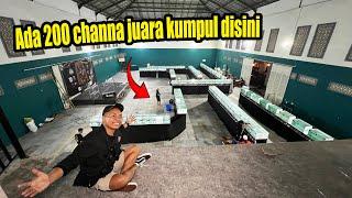 CHANNA JUARA KUMPUL DISINI!! IKUT KONTES KELAS NERAKA DI JOGJA??