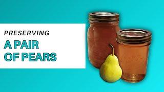 Canning Perfect Pears and Homemade Pear Jelly