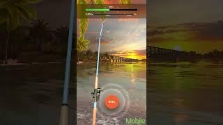 Ultimate Fishing! Fish Game Gameplay (Android) #krumobile