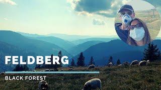 Easy Hike and Gondola ride to the summit of Feldberg I Schwarzwald (Black Forest Germany)