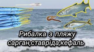 Рибалка в ЧОРНОМУ МОРІ з бомбардою з пляжа.